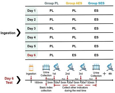 Effects of serial and acute enteric-coated sodium bicarbonate supplementation on anaerobic performance, physiological profile, and metabolomics in healthy young men